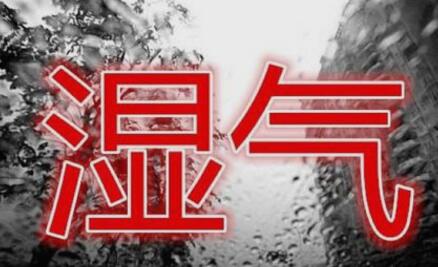 排濕氣的表現是什么癥狀