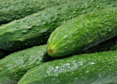 生吃黃瓜的功效與作用-易網健康<a href=http://www.gyfww.com/jkys/ target=_blank class=infotextkey>養生</a>網 生吃黃瓜的功效與作用