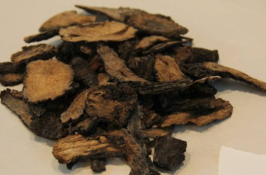 常見的10種補腎壯陽中藥材盤點