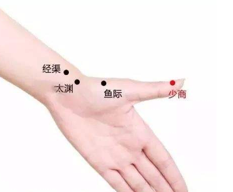 少商穴的準確位置圖 少商穴的功效與作用