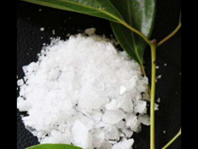 冰片的功效與作用及禁忌