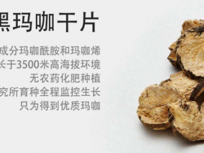 瑪咖精片的功效與作用