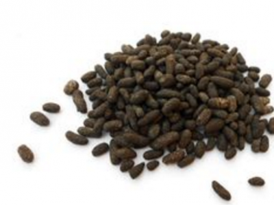 五靈脂的功效與作用及禁忌_副作用及食用方法