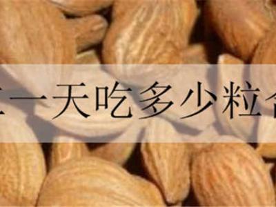 杏仁一天吃多少粒合適