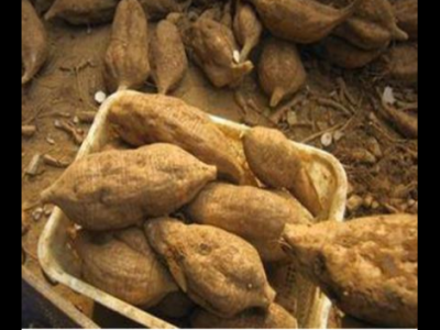 長期服用葛根的危害