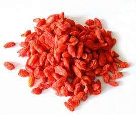 枸杞頭和枸杞子的營養(yǎng)功效介紹