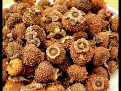 石斛的禁忌人群