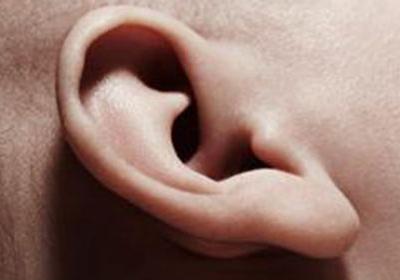 耳朵里面上長了一個(gè)肉疙瘩