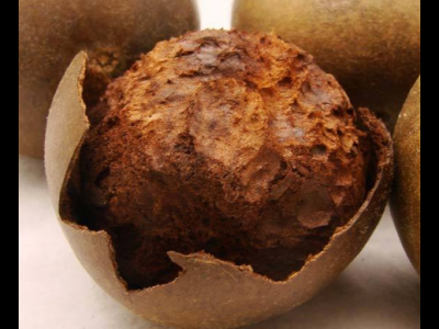 羅漢果的藥用價值