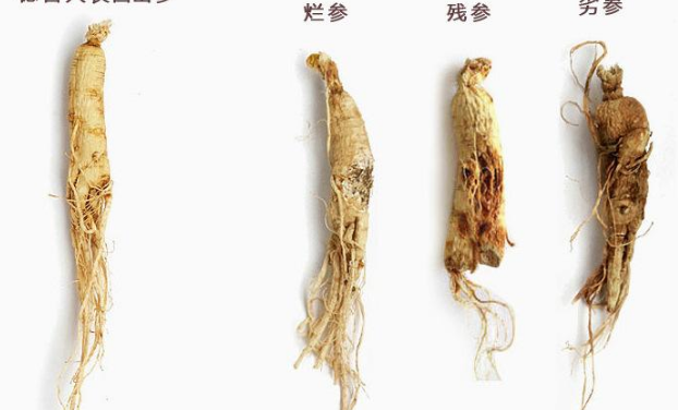 人參泡酒的禁忌