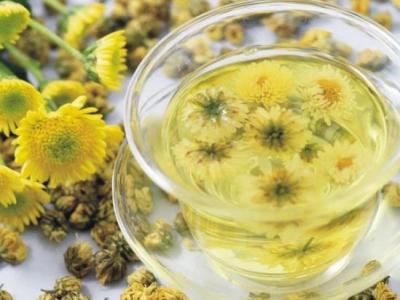 哪些人不可以喝金絲皇菊