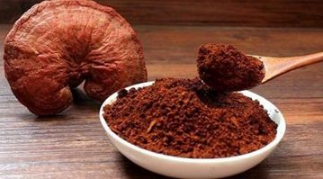 靈芝孢子粉的正確吃法和用量