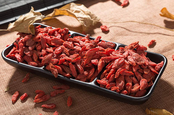 枸杞子怎么吃可以補腎 枸杞怎么吃補腎效果最好