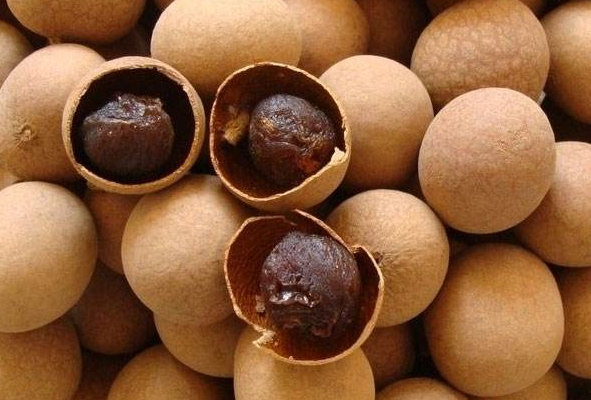 中藥龍眼肉的功效與作用