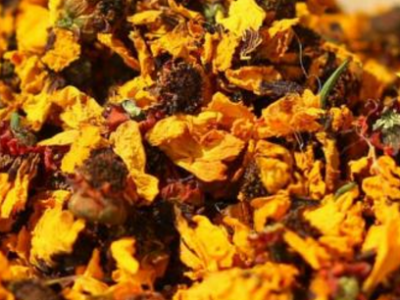 天山雪菊的功效與作用副作用