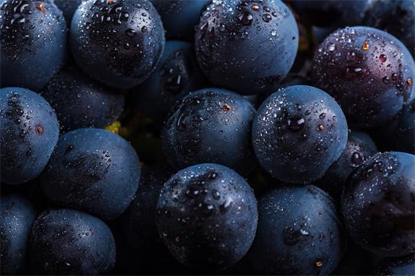 女人養(yǎng)腎的食物和水果，8種抗衰老補(bǔ)肝腎食物