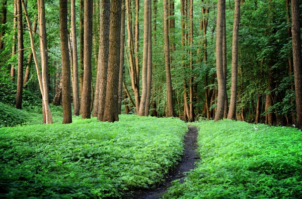 中藥治療面癱偏方？中醫治療面癱多長時間