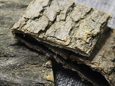 一味草藥治坐骨神經(jīng)痛，坐骨神經(jīng)痛最佳中藥方