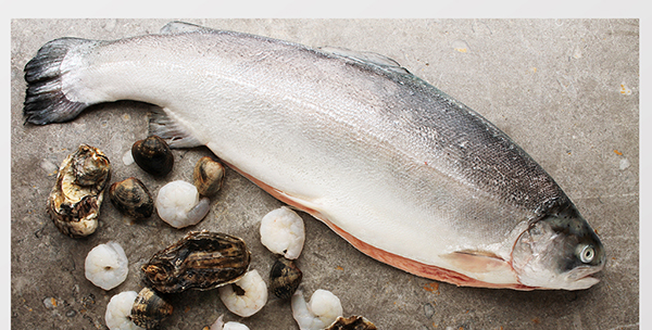 吃什么補(bǔ)蛋白質(zhì)最快?十大高蛋白食物排行榜-易網(wǎng)健康<a href=http://www.gyfww.com/jkys/ target=_blank class=infotextkey>養(yǎng)生</a>網(wǎng) 吃什么補(bǔ)蛋白質(zhì)最快?十大高蛋白食物排行榜