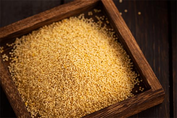 哪些食物減肥又養胃？6種營養減肥的食物