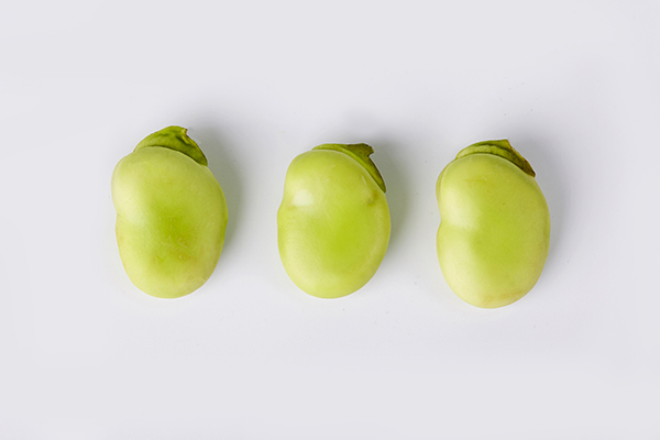 蠶豆的熱量高嗎？蠶豆含淀粉高嗎