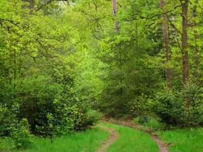 7種治面癱的民間偏方？治療最快的面癱老偏方