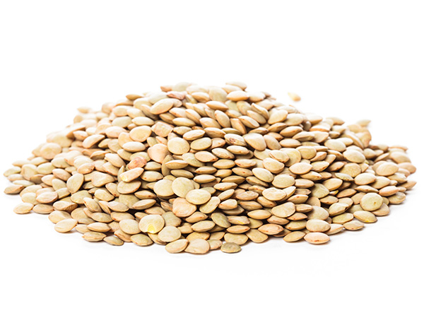 扁豆花的功效與作用?野扁豆的功效與作用-易網健康<a href=http://www.gyfww.com/jkys/ target=_blank class=infotextkey>養生</a>網 扁豆花的功效與作用?野扁豆的功效與作用