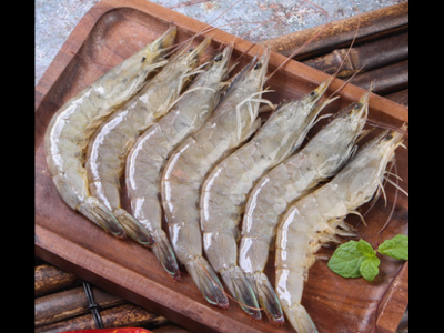 苦瓜不能和什么食物一起吃，苦瓜的禁忌搭配