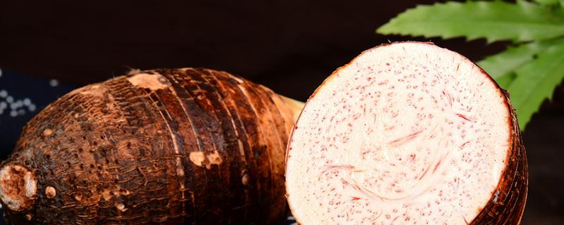 毛芋頭和芋頭的區(qū)別(毛芋頭可以做芋泥嗎)-易網(wǎng)健康<a href=http://www.gyfww.com/jkys/ target=_blank class=infotextkey>養(yǎng)生</a>網(wǎng) 毛芋頭和芋頭的區(qū)別(毛芋頭可以做芋泥嗎)