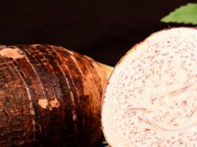 毛芋頭和芋頭的區(qū)別（毛芋頭可以做芋泥嗎）