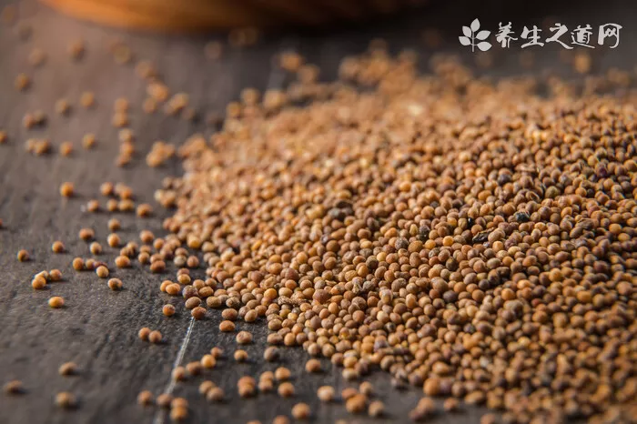 脾胃濕熱要如何調理