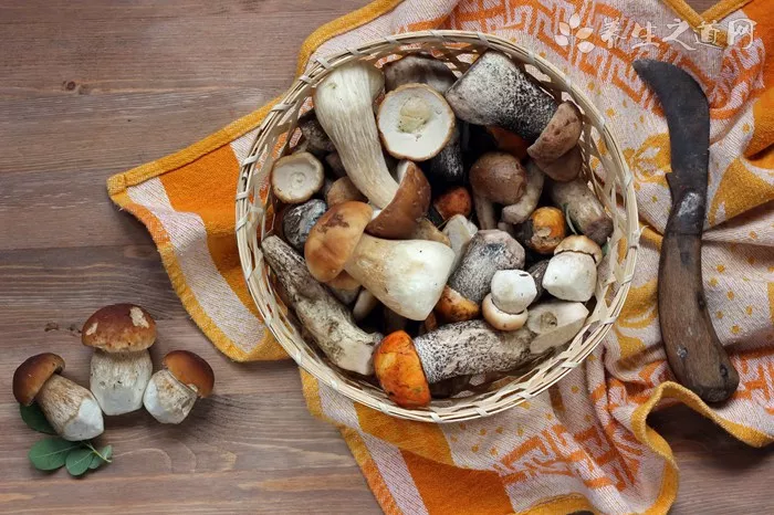 適合上班族的午餐便當食譜