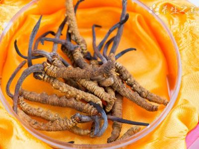 日本發(fā)現(xiàn)治療腦梗塞更有效方法