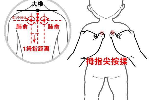 穴位肺俞的準確位置圖片和功效,2個找肺俞最笨方法(止咳化痰)-易網(wǎng)健康養(yǎng)生網(wǎng) 穴位肺俞的準確位置圖片和功效,2個找肺俞最笨方法(止咳化痰)
