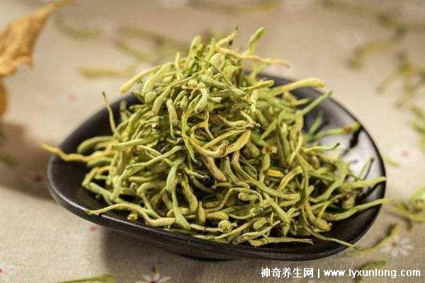 金銀花專治十種病，感冒/牙痛/痤瘡/咽喉腫痛(每天20g泡水喝好)