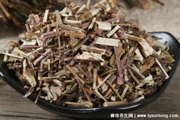 荊芥的十大神奇功效，治療風(fēng)熱頭痛/咽喉腫痛(能抗過(guò)敏/消疹止癢)