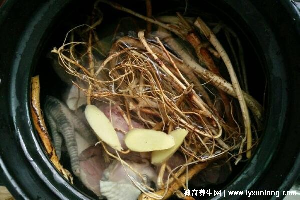 五指毛桃的副作用太大了，中毒反應(yīng)肝損傷7大危害(六種人不宜吃)