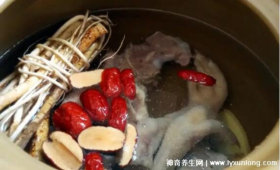 六種人不宜吃五指毛桃，孕婦/肝腎功能不全/過敏/胃火旺慎吃