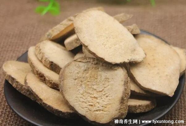 喝澤瀉白術一個月瘦多少斤,10斤起步適合肥胖癥(附減肥配方)-易網<a href=http://www.gyfww.com/ target=_blank class=infotextkey>健康養生</a>網 喝澤瀉白術一個月瘦多少斤,10斤起步適合肥胖癥(附減肥配方)