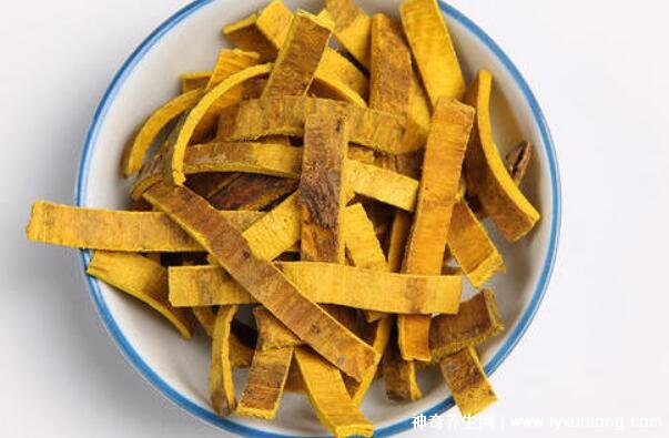 黃柏和蒼術泡水喝的功效與禁忌，7種人不宜吃黃柏和蒼術