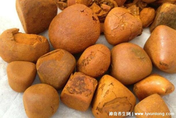 牛黃是什么東西多少錢一克，牛膽囊的膽結石500元/克(圖片)