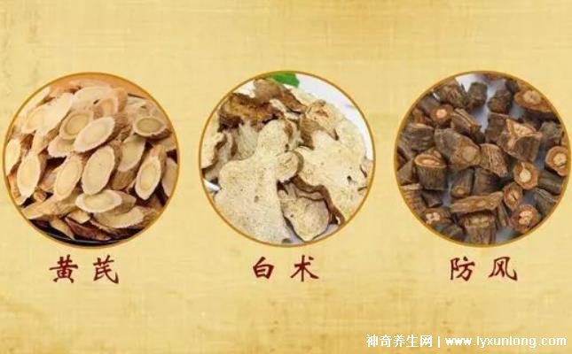 黃芪15g白術10g防風10g，可用于治療氣虛感冒(附泡茶方法)