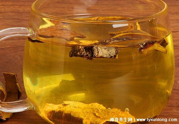 黃柏和蒼術泡水喝的功效與禁忌，7種人不宜吃黃柏和蒼術