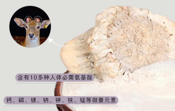 鹿角帽粉的作用與功效禁忌，溫補腎陽/活血/通乳(副作用)