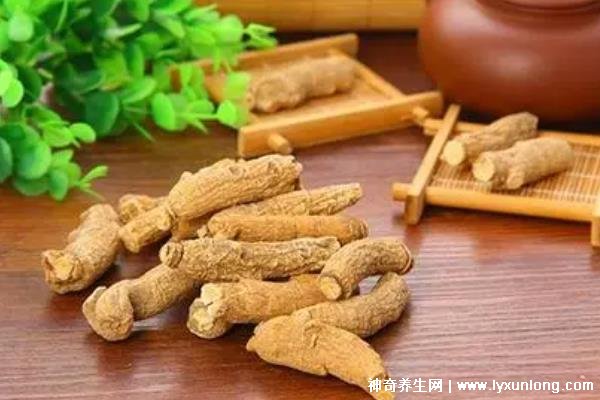 藏雪參的功效與作用吃法，預防高血糖/延年益壽(可泡水喝/煲湯)