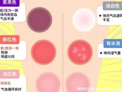 拔罐顏色癥狀對照表，紅色/黃色/藍色代表各不同(顏色深淺圖解)