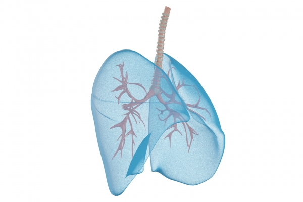 肺經(jīng)不通的癥狀