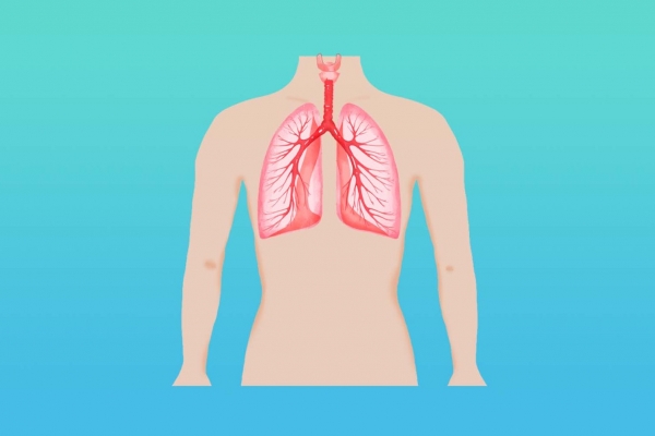 肺經(jīng)不通的癥狀
